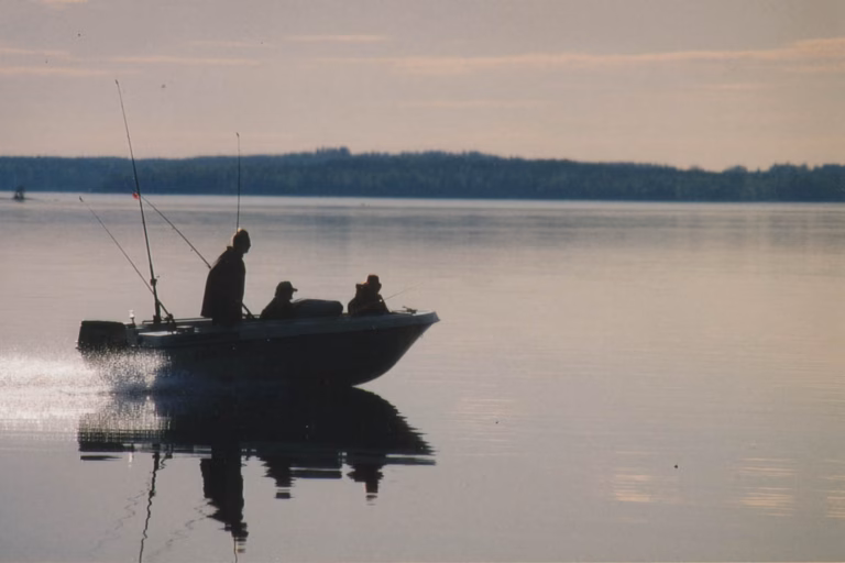 Höytiäinen, ammattipyynnistä virkistyskalastukseen