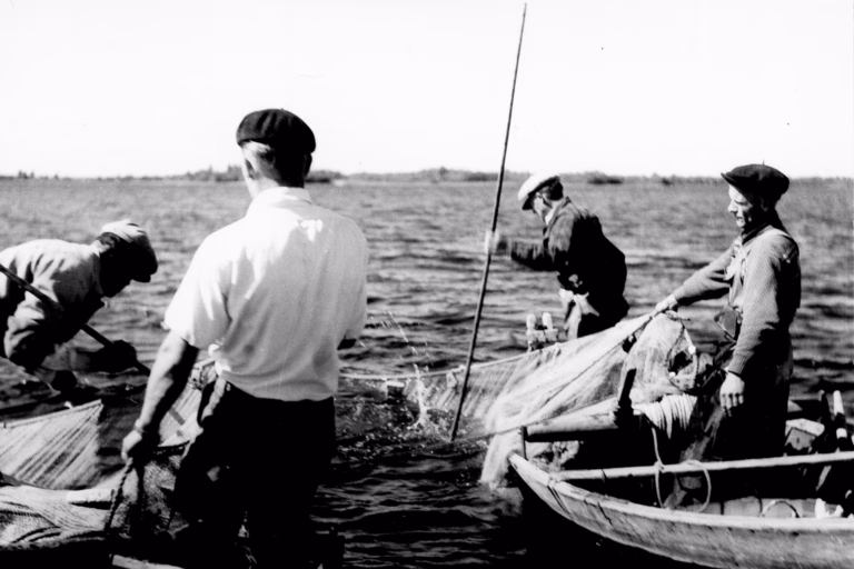 Höytiäinen kalakannat