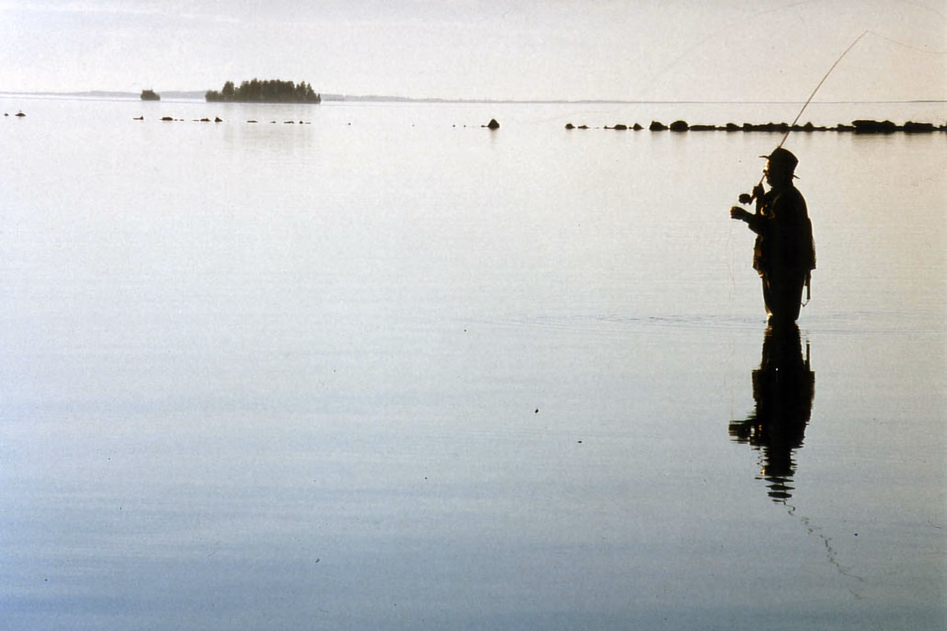 Höytiäinen, puunuitto