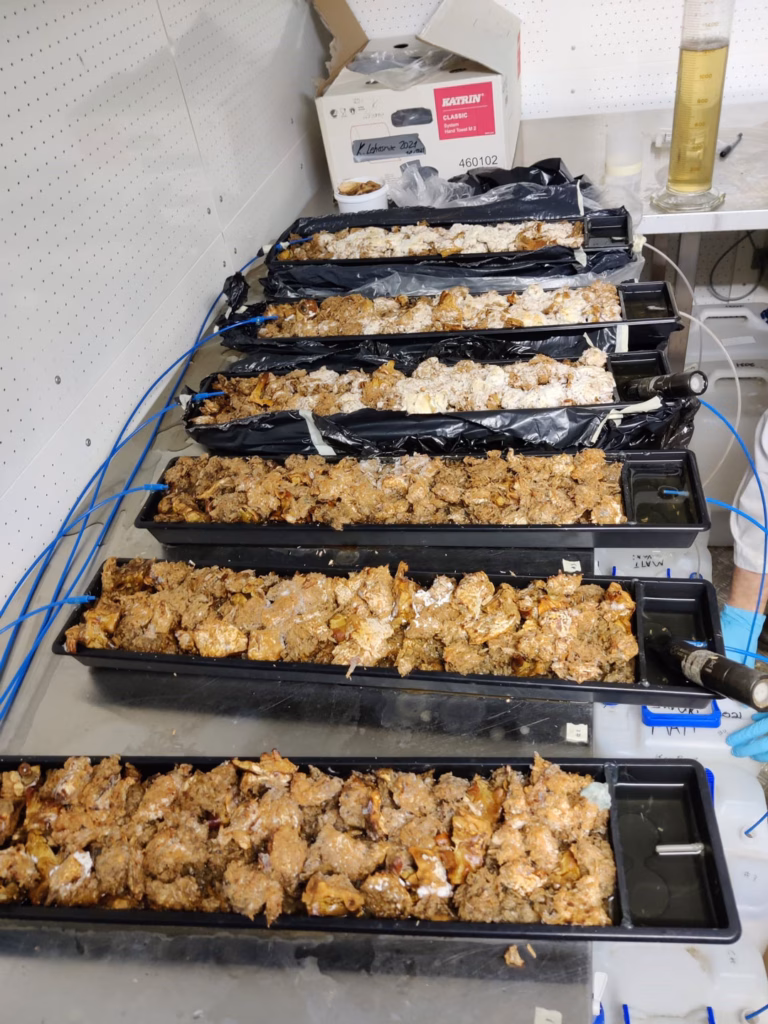 SuVaKi laboratoriopilotti
