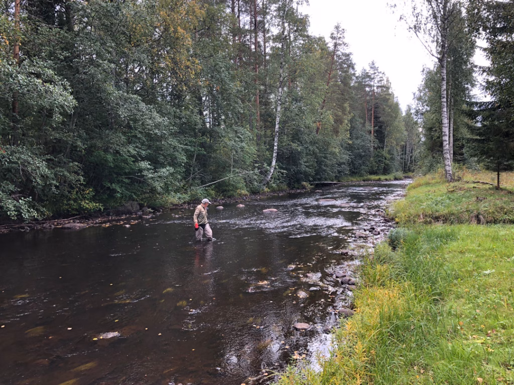 SuVaKi vedenlaatututkimus