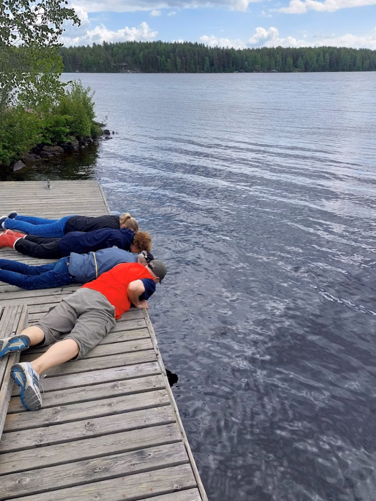 Havainnointiverkosto