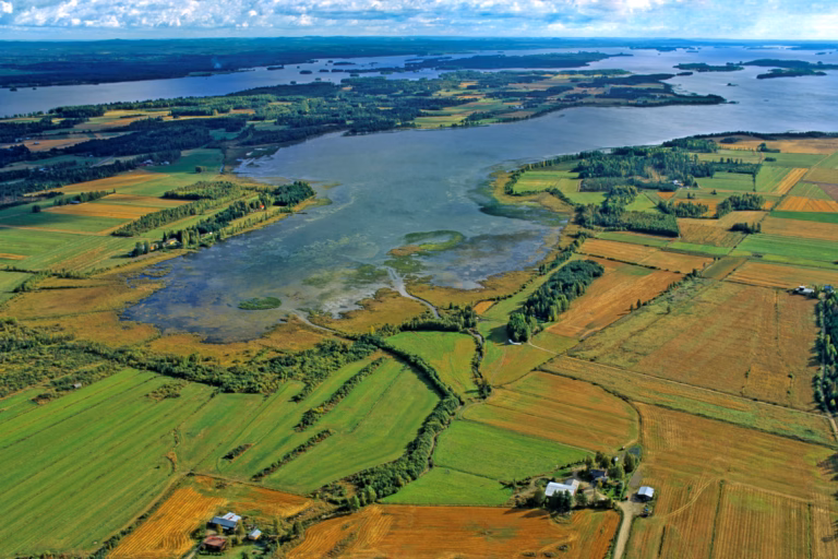 Vesijättöviljelyksiä Ruvaslahdella