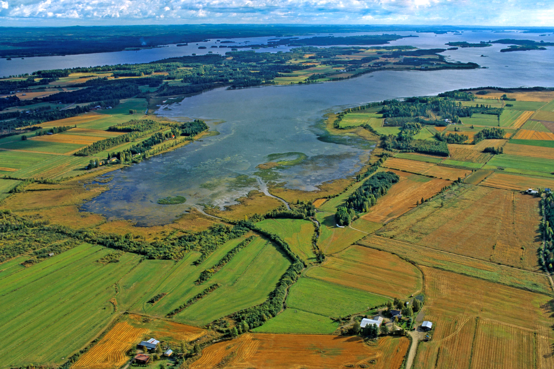 Vesijättöviljelyksiä Ruvaslahdella